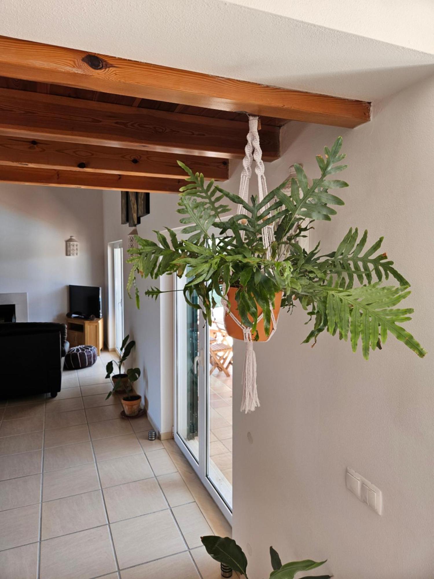 Casa Delbon Guest House Aljezur Εξωτερικό φωτογραφία